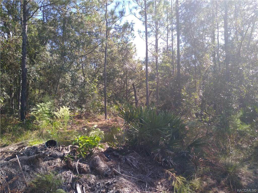 4135 Joy Terrace - Photo 1