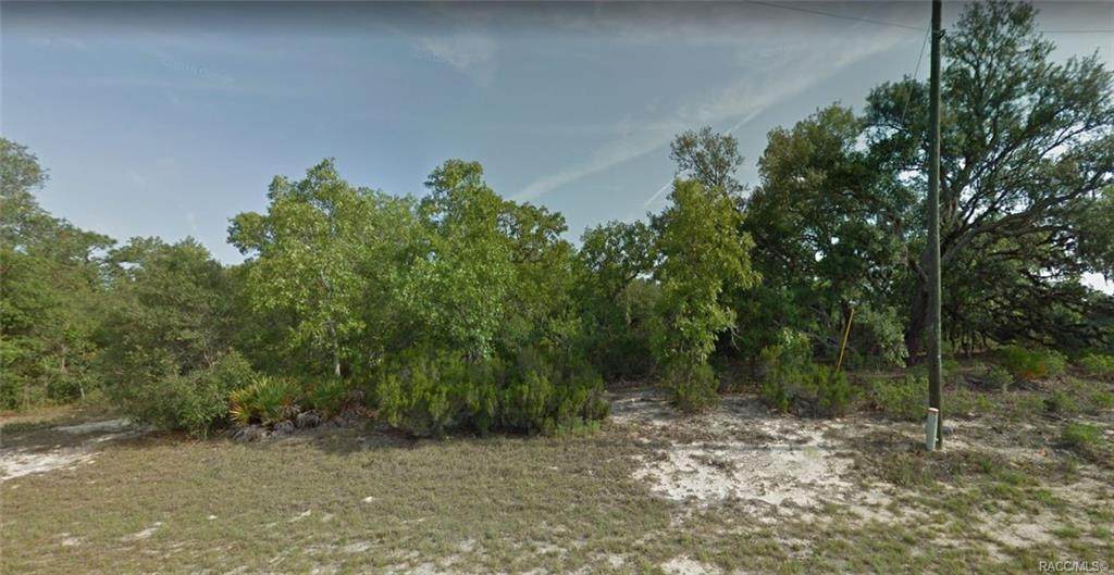 2889 Sheila Drive - Photo 1