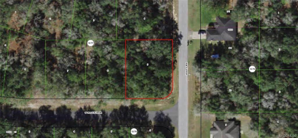2498 Magenta Drive - Photo 1