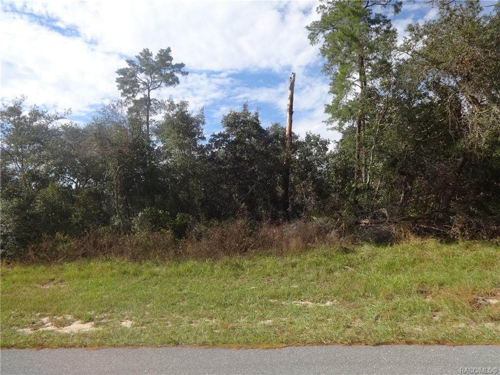 0 161 Loop - Photo 1
