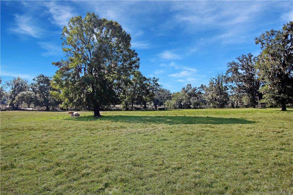 15555 Hwy 464B - Photo 1
