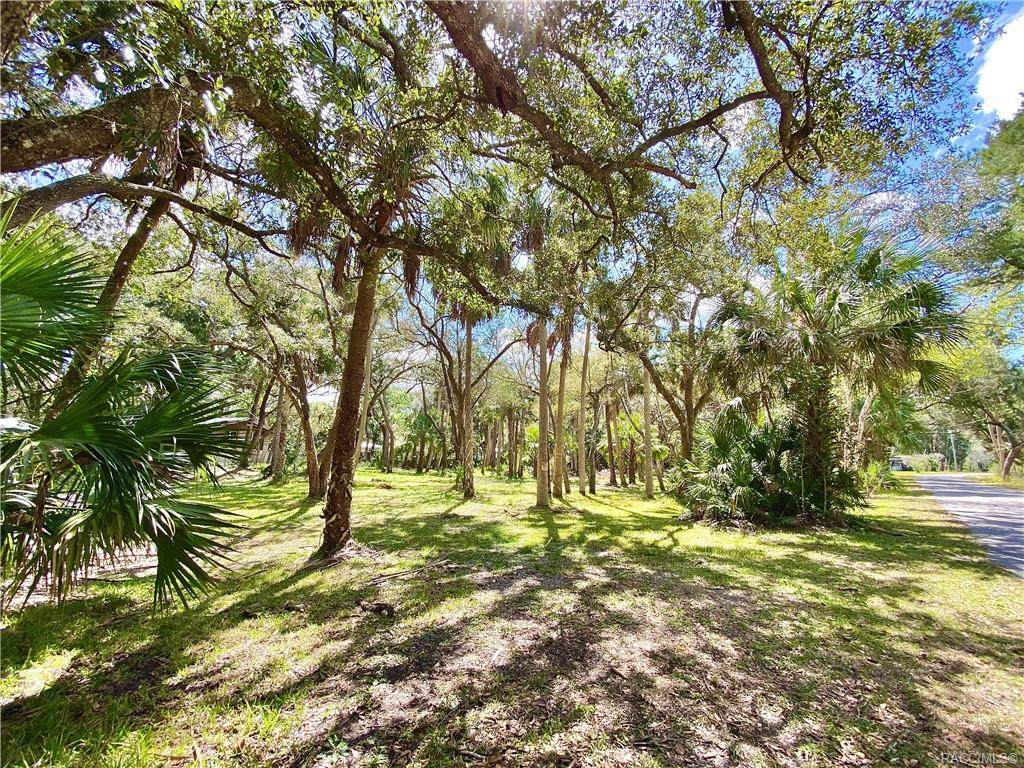 1234 Lake Avenue - Photo 1