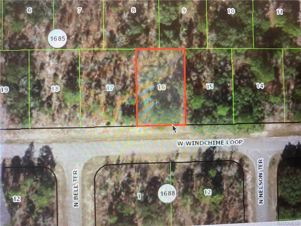 2123 Windchime Loop - Photo 1