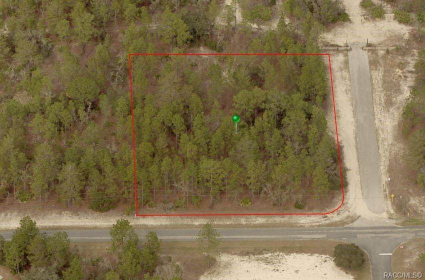 5910 Calico Drive - Photo 1