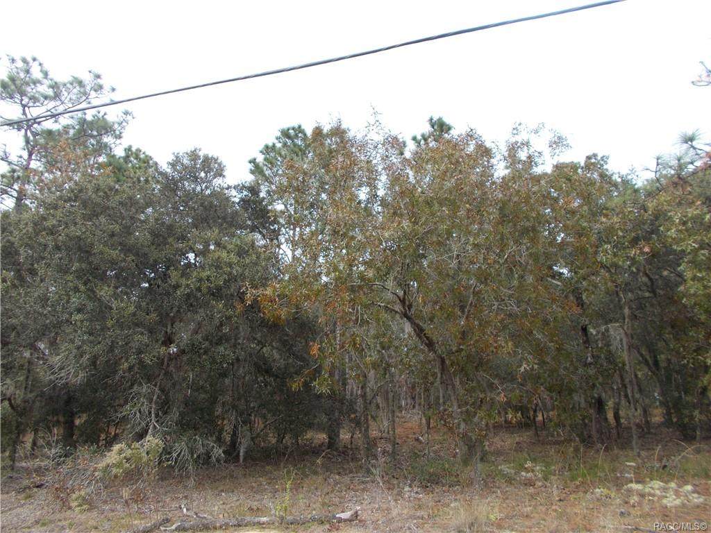 701 Stratford Road - Photo 1