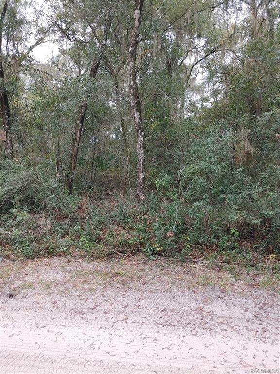 9794 Tuliptree Drive - Photo 1