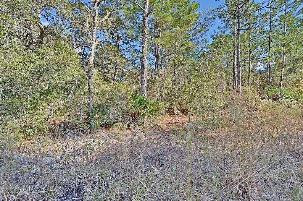 6277 Zircon Point - Photo 1