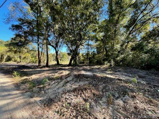 10991 186th Avenue - Photo 1
