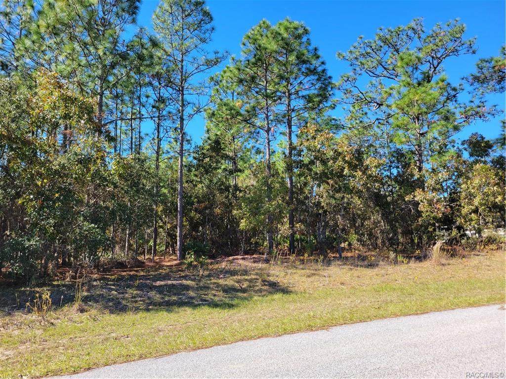 4772 Mohawk Drive - Photo 1