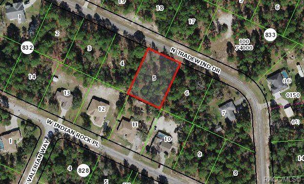 8436 Tradewind Drive - Photo 1