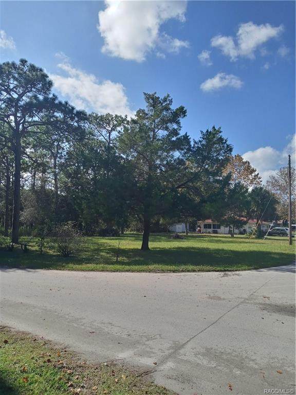 7542 Tropical Lane - Photo 1
