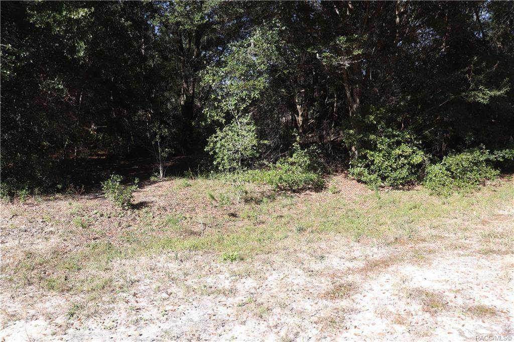 8591 San Filippo Loop - Photo 1