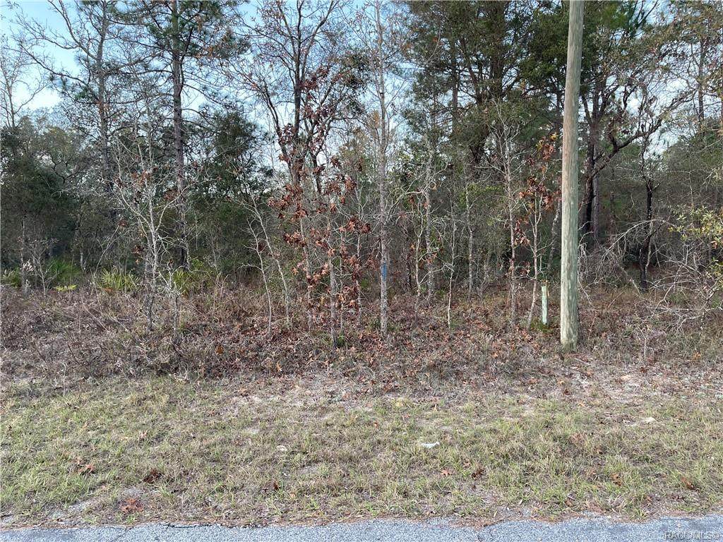 7277 N Westbrook Way - Photo 1
