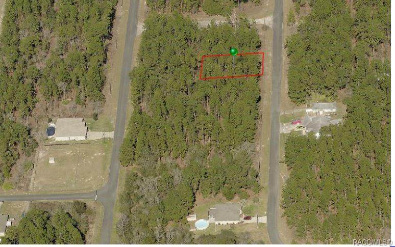 7732 Udal Drive - Photo 1