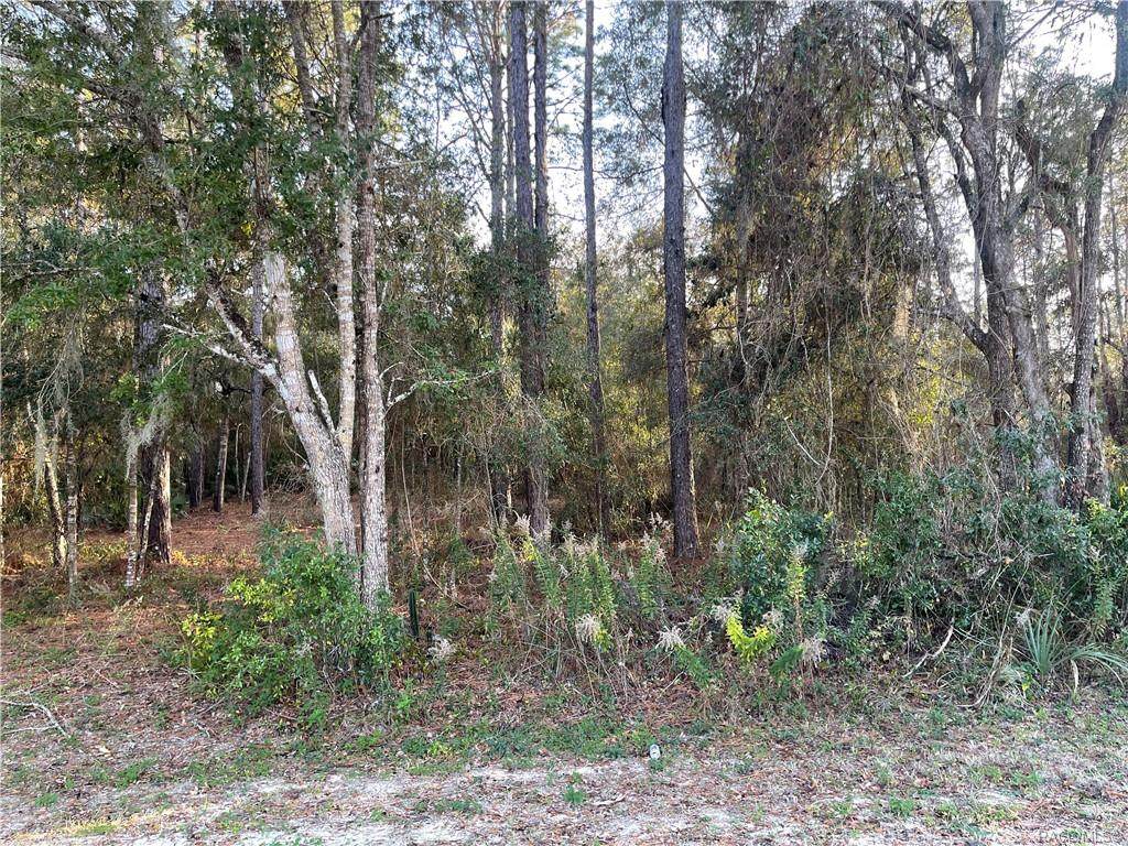 10154 Sandra Street - Photo 1