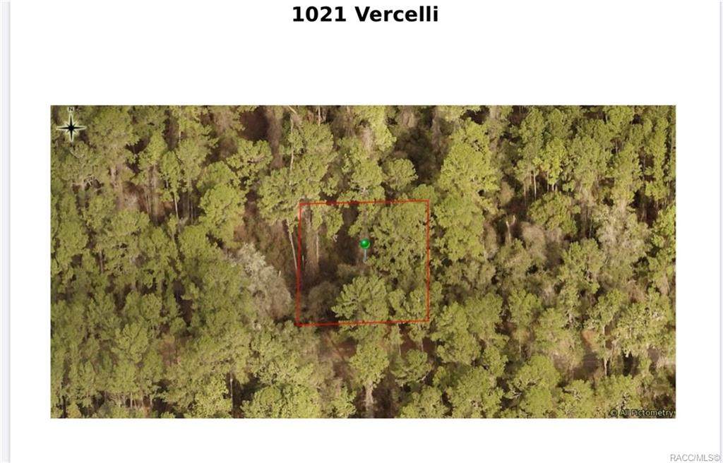 1021 Vercelli Lane - Photo 1
