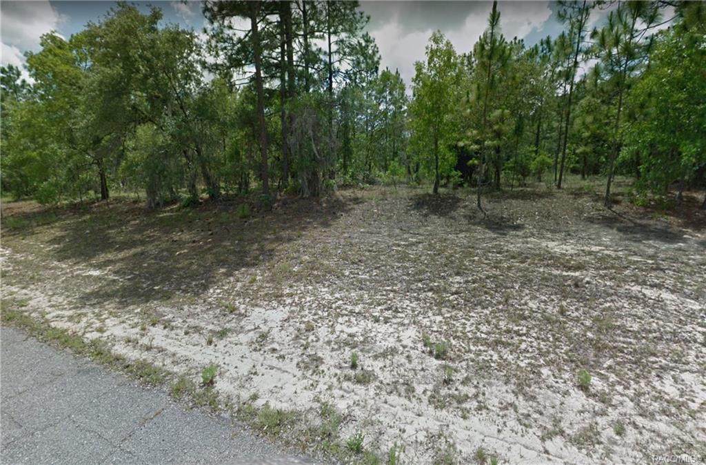 10966 Mataro Avenue - Photo 1