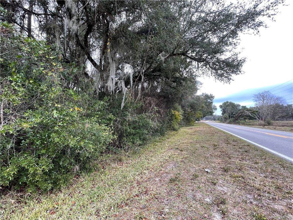 10997 Bushnell Road - Photo 1