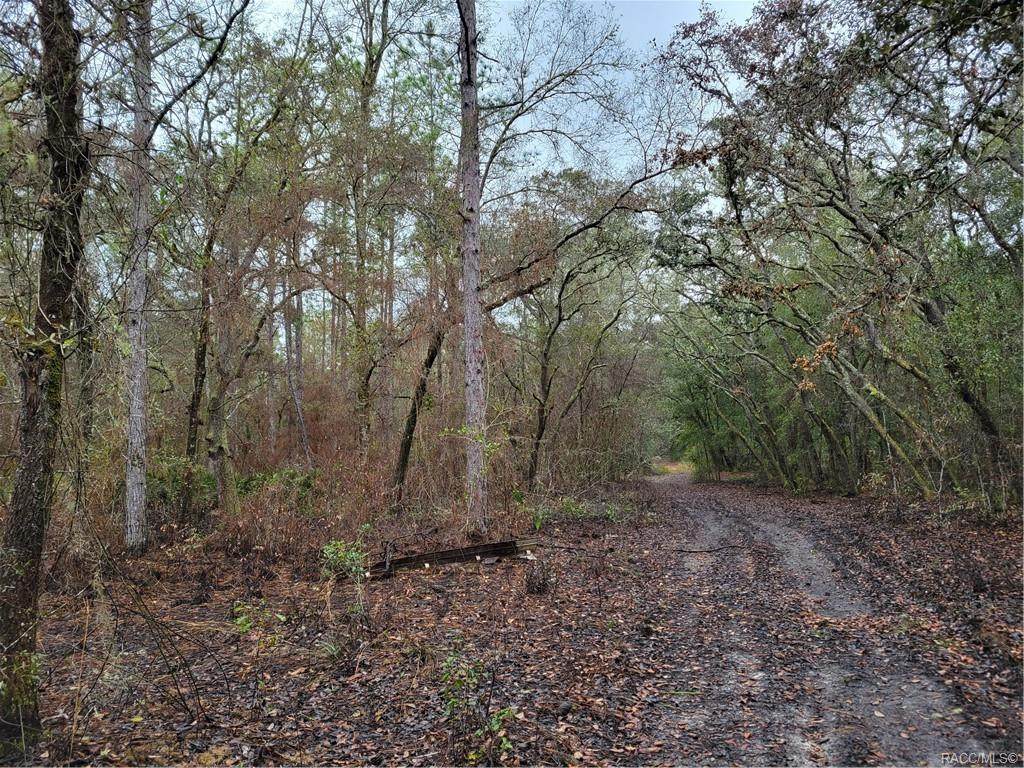 7244 Pixie Lane - Photo 1