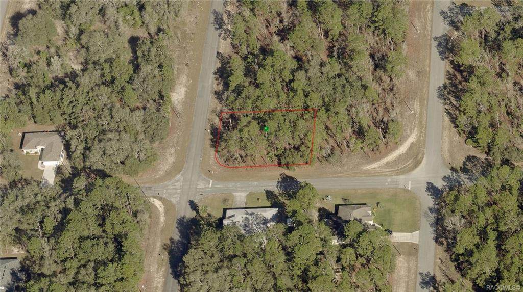 646 Homeway Loop - Photo 1