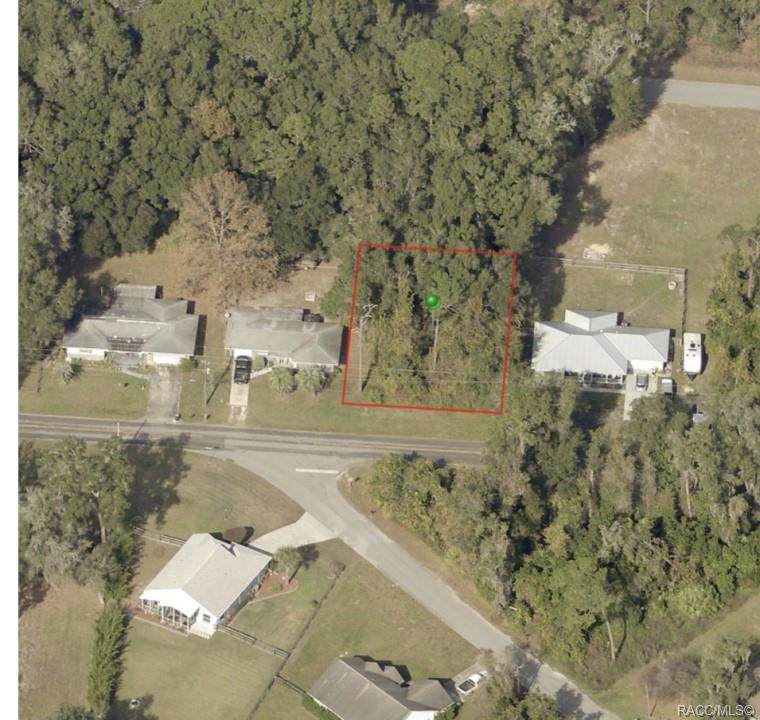 6647 Malverne Street - Photo 1