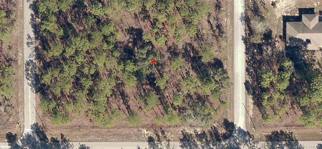 Lot 30 Tree Top Road - Photo 1