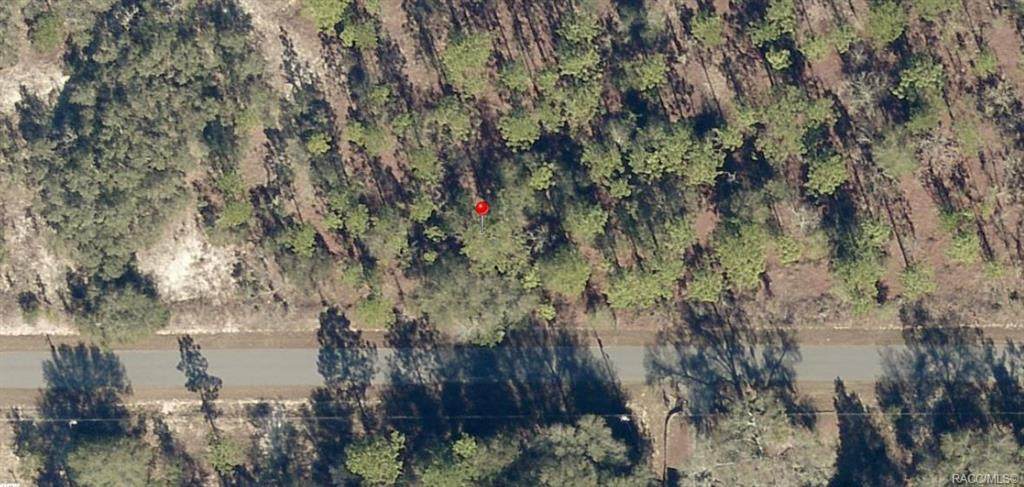 Lot 36 Huckle Berry Lane - Photo 1