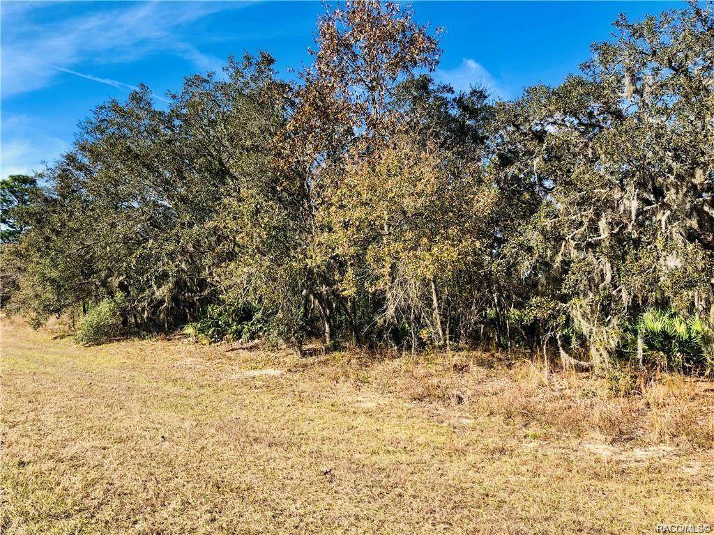 1861 Hampshire Boulevard - Photo 1