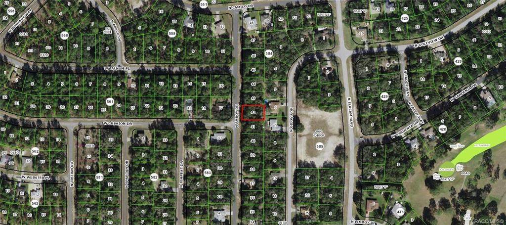 8997 Amboy Drive - Photo 1