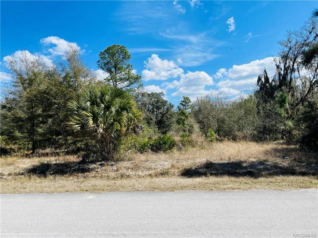 8443 Bitteroot Drive - Photo 1