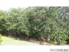 6695 Hartman Path - Photo 1