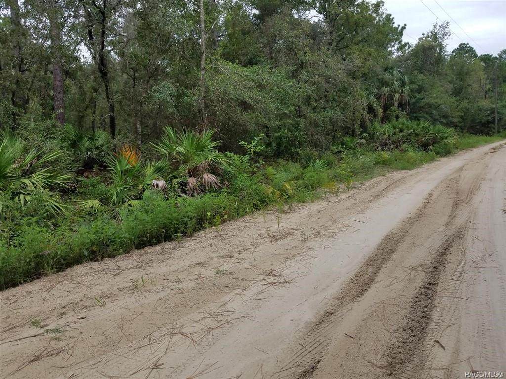 4788 Mattox Point - Photo 1