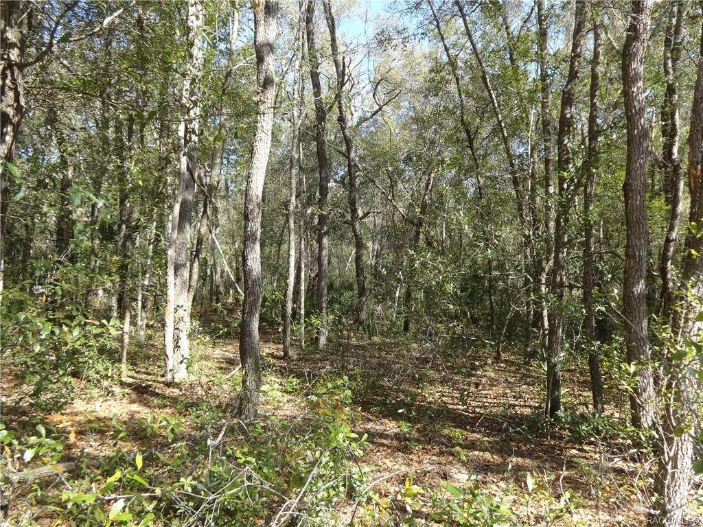 0000 Tennessee Lane - Photo 1