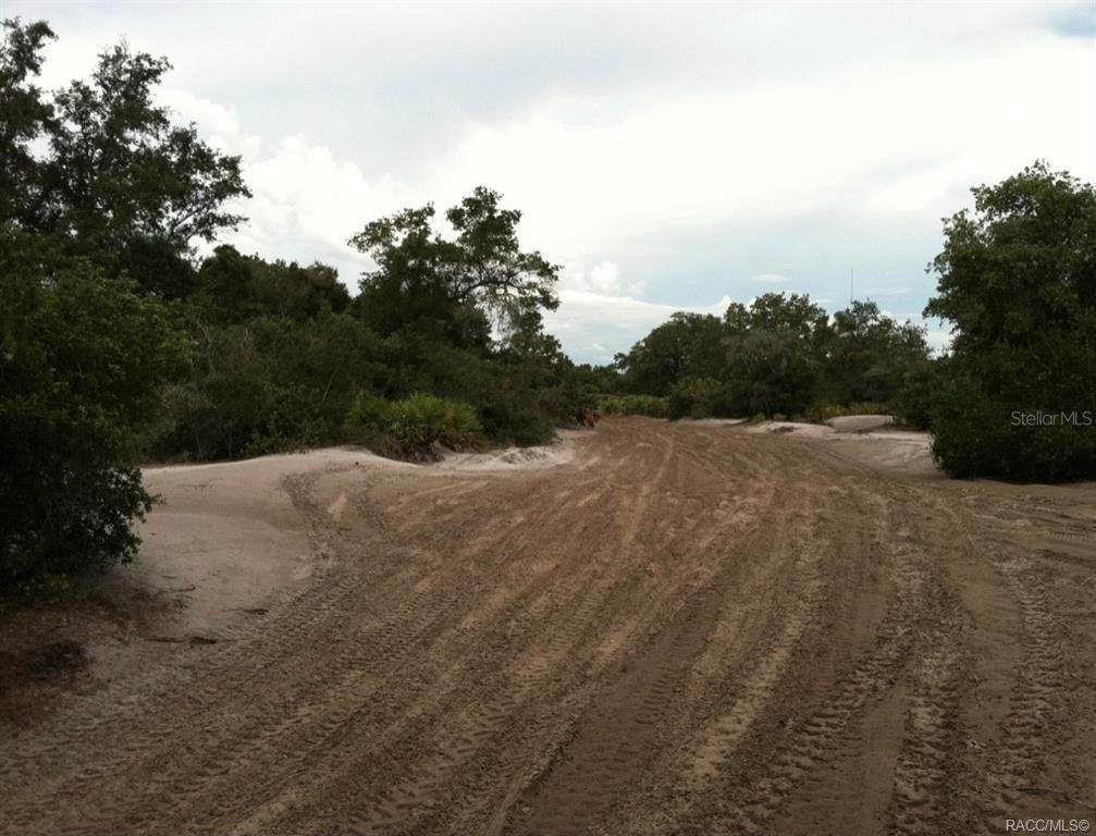 0 Holopaw Groves Road - Photo 1
