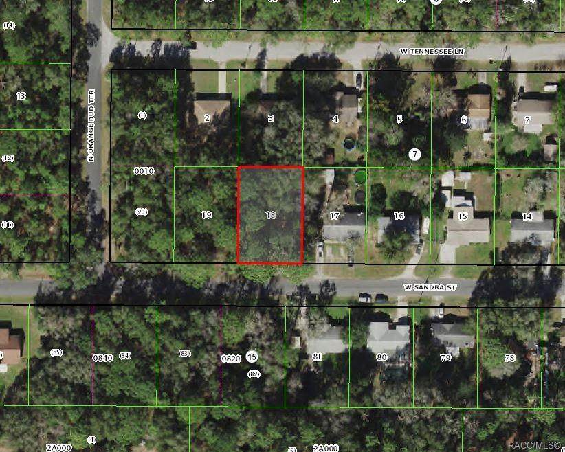 9793 Sandra Street - Photo 1