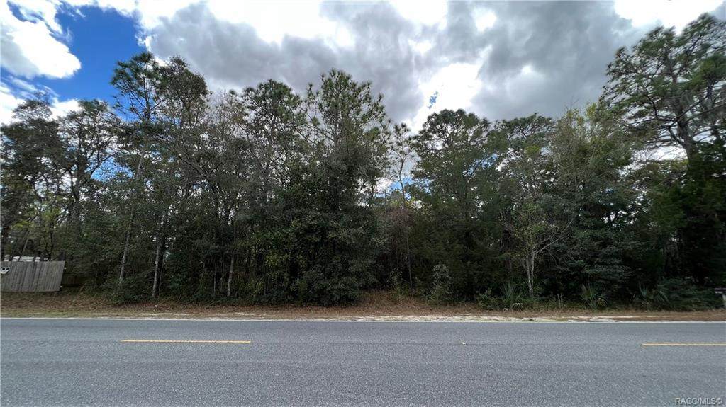 7076 Homosassa Trail - Photo 1