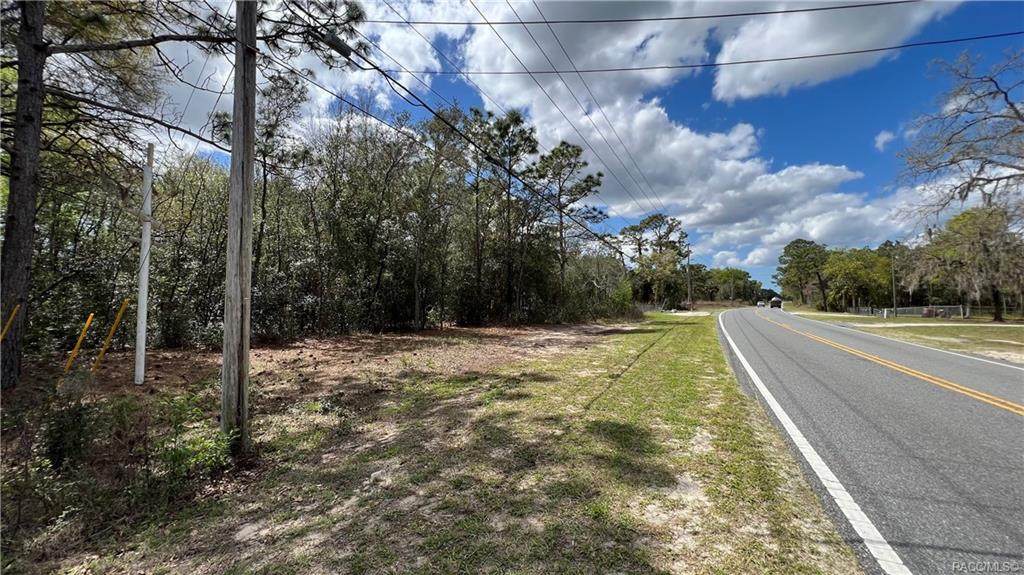 6154 Homosassa Trail - Photo 1