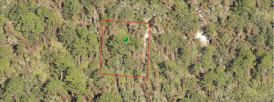 97 Quiet Pines Point - Photo 1