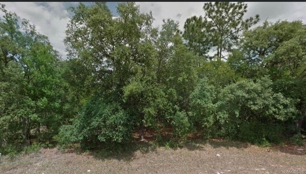 9495 Sandree Drive - Photo 1