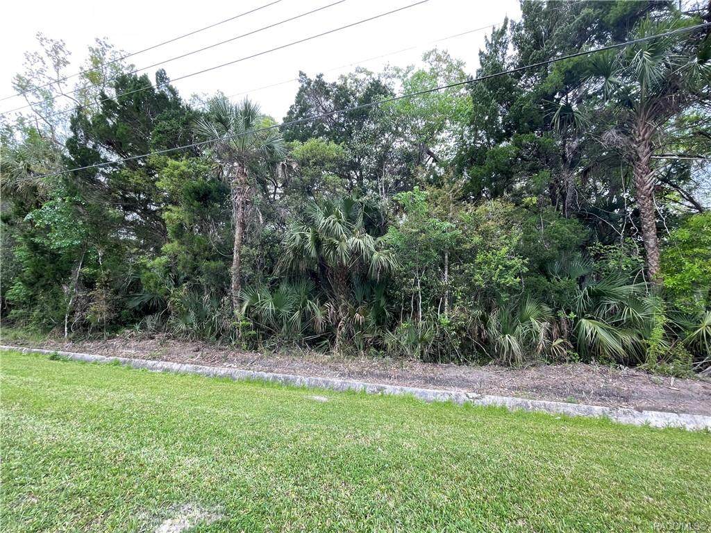 0 Citrus Avenue - Photo 1