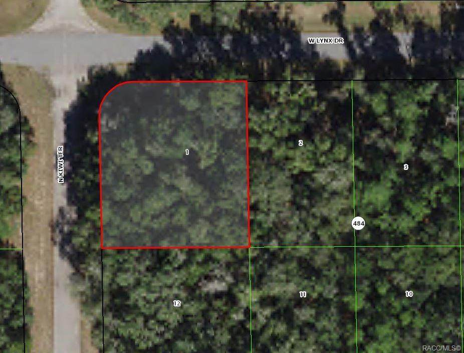 28 Lynx Drive - Photo 1