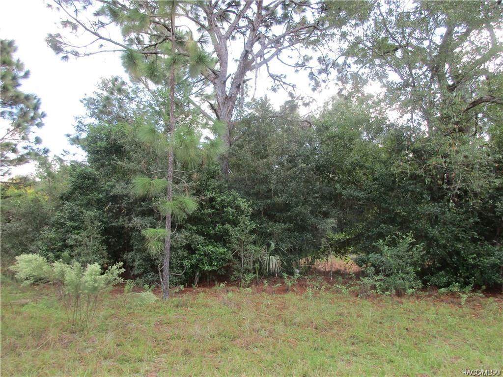 8653 Sanfilippo Loop - Photo 1