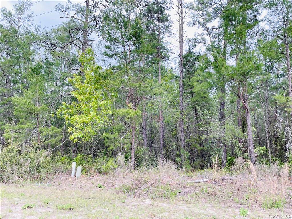 54 Village Center Drive - Photo 1