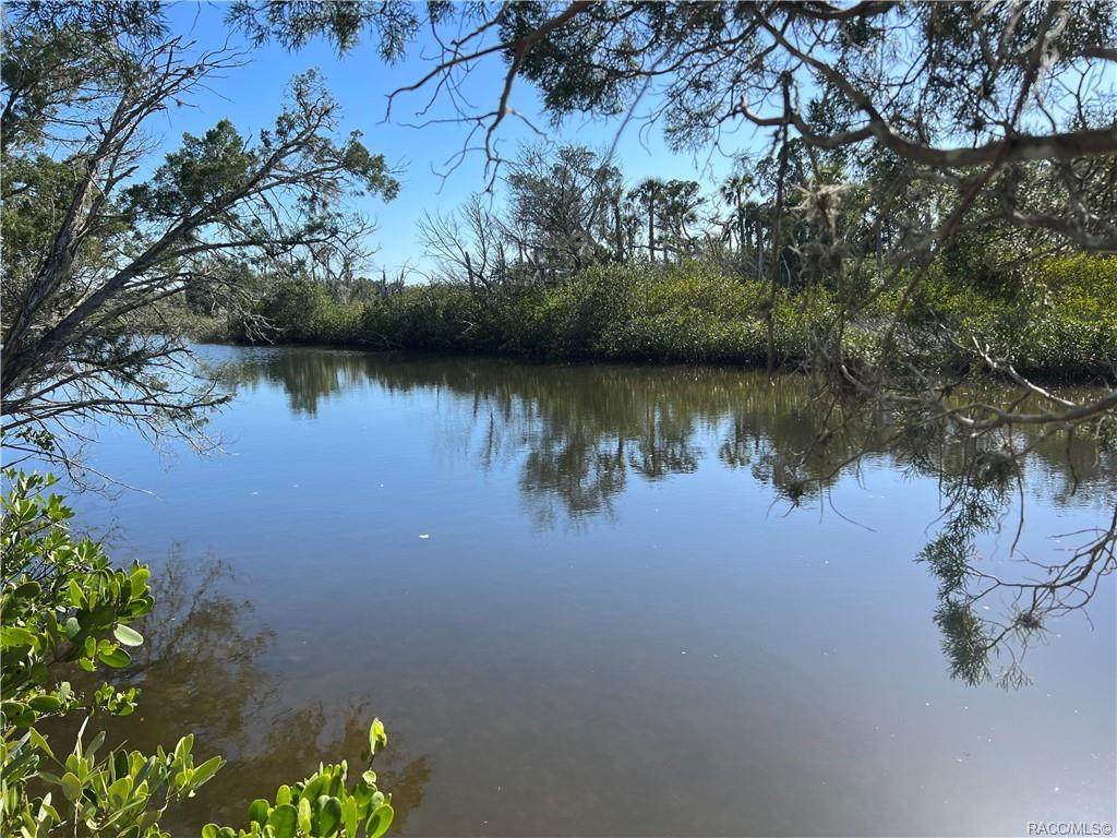 14775 Black Creek Drive - Photo 1
