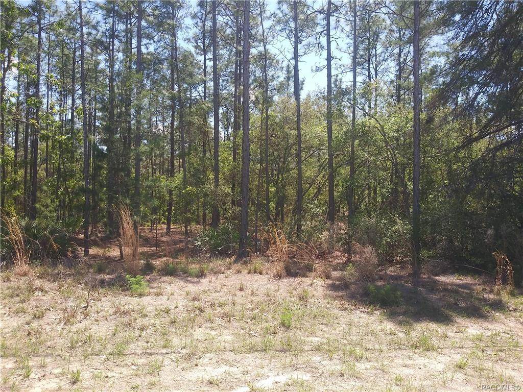 5848 Pawnee Drive - Photo 1