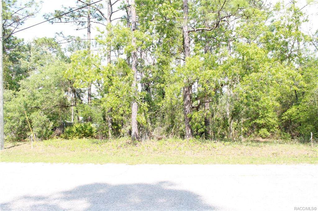7751 Cricket Drive - Photo 1