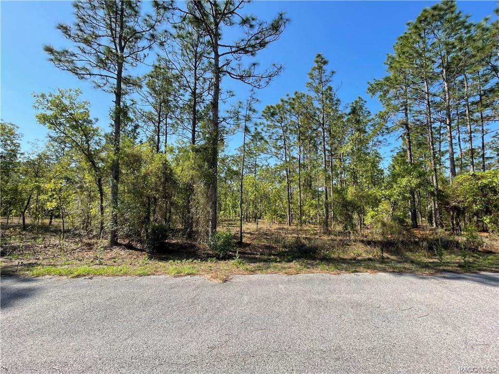 0000 Tamarind Lane - Photo 1