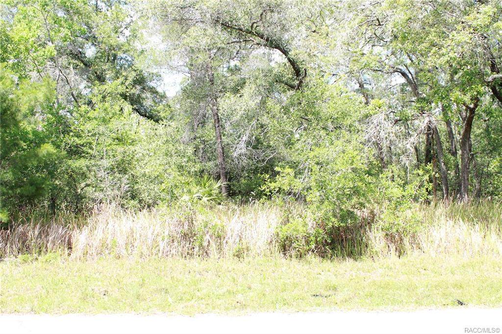 6179 Buckland Drive - Photo 1