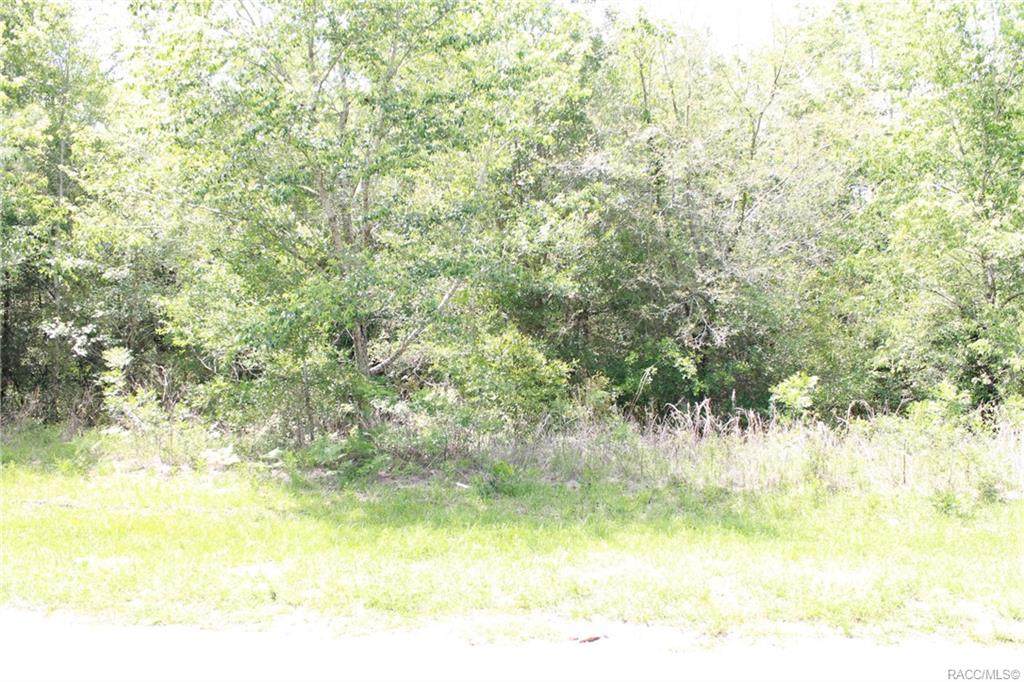8410 Pocono Drive - Photo 1
