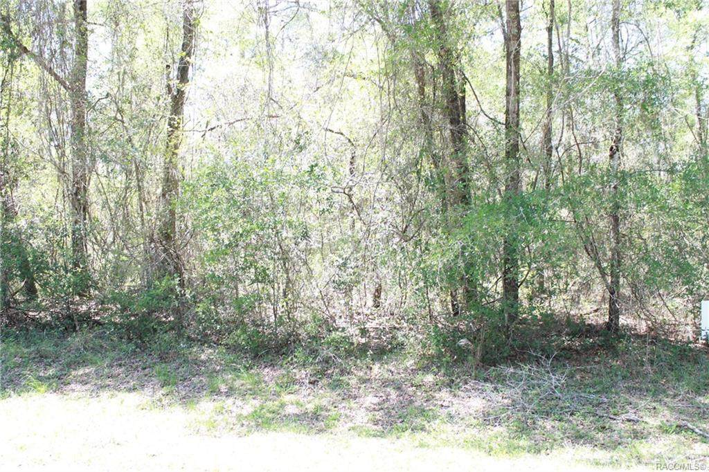 9460 Lily Drive - Photo 1